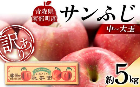 【訳あり】 青森産 完熟 りんご サンふじ （中～大玉） 約5kg 【誠果園】 F21U-388