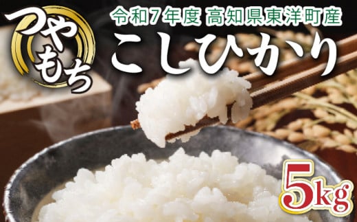 ＜2025年11月発送＞令和7年産コシヒカリ 5kg【S137】