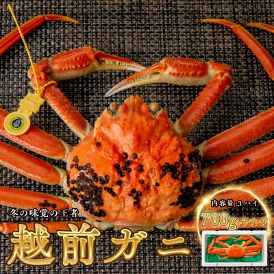 ふるさと納税 小浜市 越前がに (ズワイガニ)700g×3杯