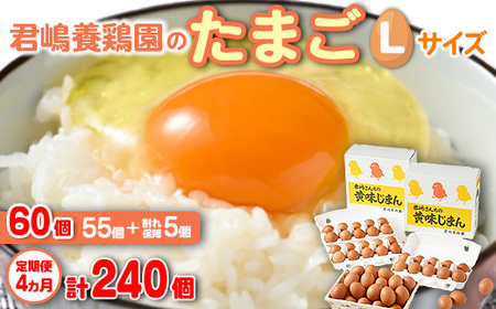 【4か月定期便】君嶋養鶏園のたまご Lサイズ 60個（55個＋割れ補償5個）×4ヶ月 計240個 | 定期便 4ヶ月 4か月 4ヵ月 卵 玉子 たまご 赤卵 赤たまご 生卵 国産 濃厚 鶏卵 コク 旨味