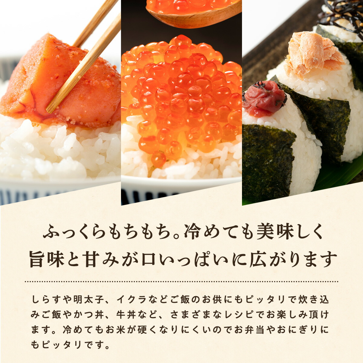 令和8年産 あきたこまち 白米 10kg 秋田県産 米 一等米 ブランド米 10キロ 精米 精米したて 一人暮らし 秋田 能代 能代市 送料無料 《こまちライン》