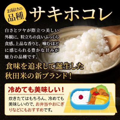 ふるさと納税 大仙市 米《3ヶ月》サキホコレ【無洗米】令和7年産 5kg|22_ssn-050503m |  | 03