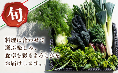 旬のイタリア野菜セット 5～7種《11月下旬-3月中旬頃出荷》