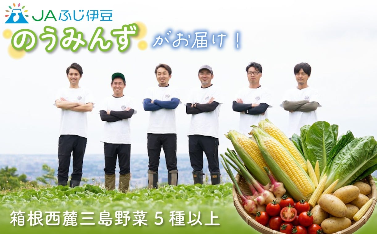 
            【予約受付中】 のうみんず 野菜詰め合わせ 5種以上 とうもろこし ミニトマト 馬鈴薯 葉生姜 ロメインレタス ヤングコーン JAふじ伊豆 ファ－マーズマーケット みしまるかん 静岡県 三島市
          