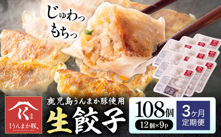 【3ヶ月定期便】鹿児島 うんまか豚 生餃子 108個 株式会社 寺師《お申し込み翌月から出荷》鹿児島県 さつま町 餃子 ギョウザ 焼き餃子 水餃子