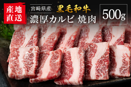 【産地直送】宮崎県産 黒毛和牛 濃厚カルビ 焼肉 500g