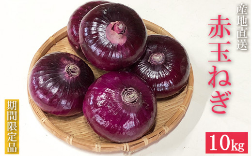 【埼玉県羽生市産】産地直送 赤玉ねぎ 10kg ＜ 数量・期間限定 ＞ 玉ねぎ 野菜 産地 直送 埼玉県 羽生市
