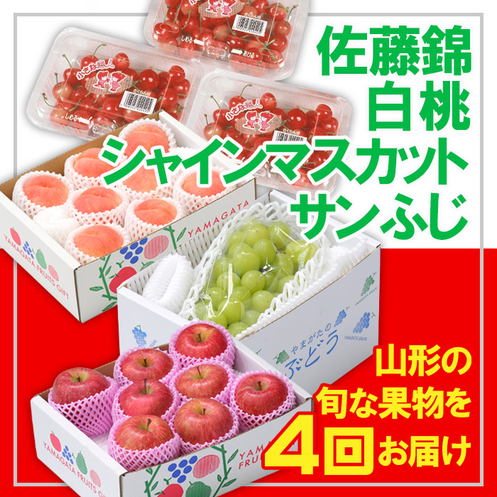 【定期便4回】☆フルーツ王国山形☆佐藤錦・白桃・シャインマスカット・りんご 【令和6年産先行予約】FU23-840