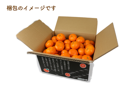 愛媛みかん 南柑20号 5kg MまたはL サイズ 上杉果樹園 先行予約 温州蜜柑 温州みかん 温州 mikan 愛媛ミカン 愛媛蜜柑 みかん ミカン 蜜柑 果物 フルーツ 柑橘 農家直送 産地直送 