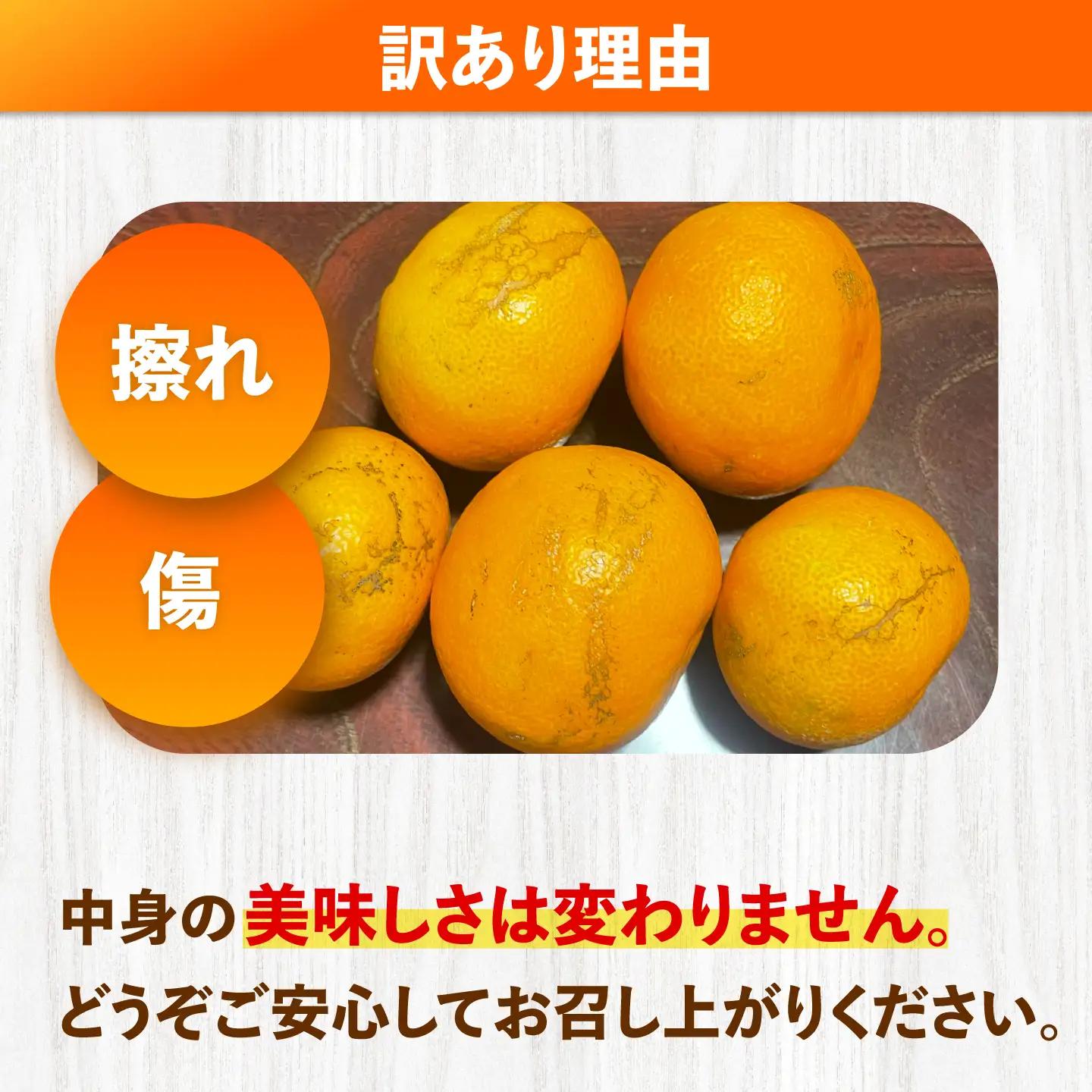 【数量限定】 【訳あり】 原口みかん 約5kg ＜田川農園＞[CGR002]