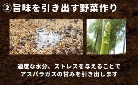 【生で食べられる】スイート アスパラ L～3L 約 1.5kg 増田農園 アスパラガス 甘い / 南島原市 / 贅沢宝庫[SDZ014]