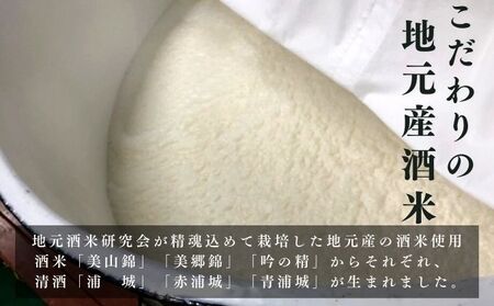 【生酒】純米吟醸無濾過原酒「浦城」3種＆「浦城 雪景色（にごり酒）」3種　飲み比べ6本セット720ml 各1本 お酒 日本酒 香り 果実味 美味しい リピーター 