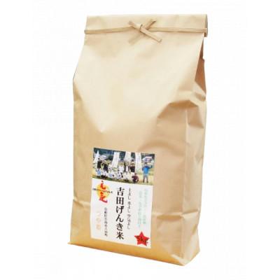 ふるさと納税 雲南市 島根県雲南市産　吉田げんき米　つや姫 　5kg(5kg×1) |  | 01