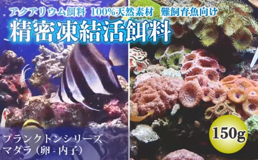 
精密凍結活餌料 マダラ 150g (50g×3) 難飼育魚向け餌料 観賞魚 熱帯魚
