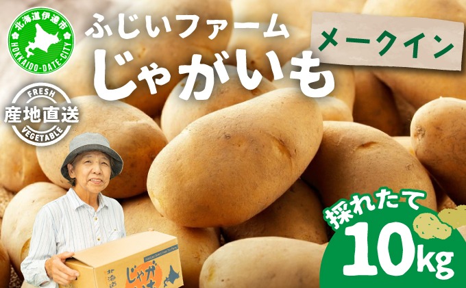＜先行予約＞北海道産 じゃがいも(メークイン) 約10kg | ジャガイモ 馬鈴薯 ポテト 芋 イモ 国産 野菜 人気 ふじいファーム