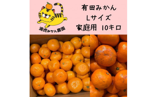 
訳あり温州みかん 家庭用 10kg (Lサイズ指定)
