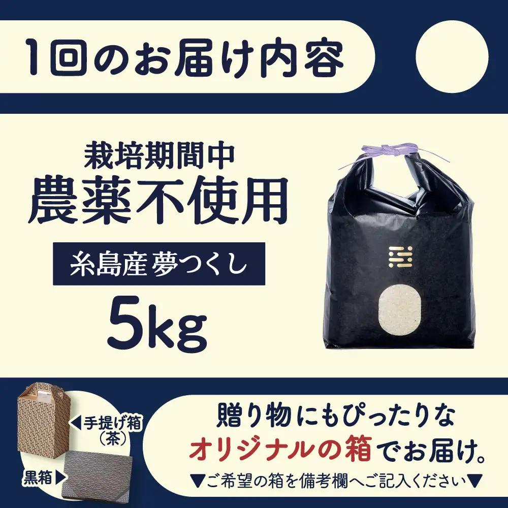 農薬を使わずに育てた 山つき 5kg 夢つくし 吉富町/(株)やました[BGBX013]