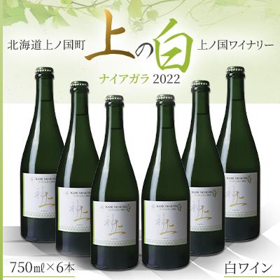 ふるさと納税 上ノ国町 北海道産 上ノ国ワイナリー 白ワイン「上の白 ナイアガラ 2022」 750ml×6本