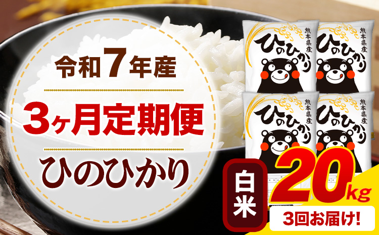 【3ヶ月定期便】 令和7年産 白米 ひのひかり 定期便 20kg《お申込み翌月から出荷》 熊本県産 ふるさと納税 精米 ひの 米 こめ ふるさとのうぜい ヒノヒカリ コメ お米---mifune_lcl_1221_mo3_---