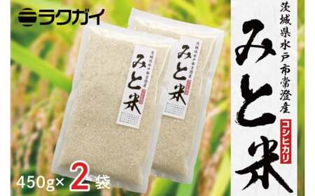 令和6年産 茨城県水戸市常澄産コシヒカリ みと米【こしひかり お米 米 小分け 少量パック 3合 三合  真空 真空パック 5000円以内 3000円以内 水戸市 茨城県】（EX-2）