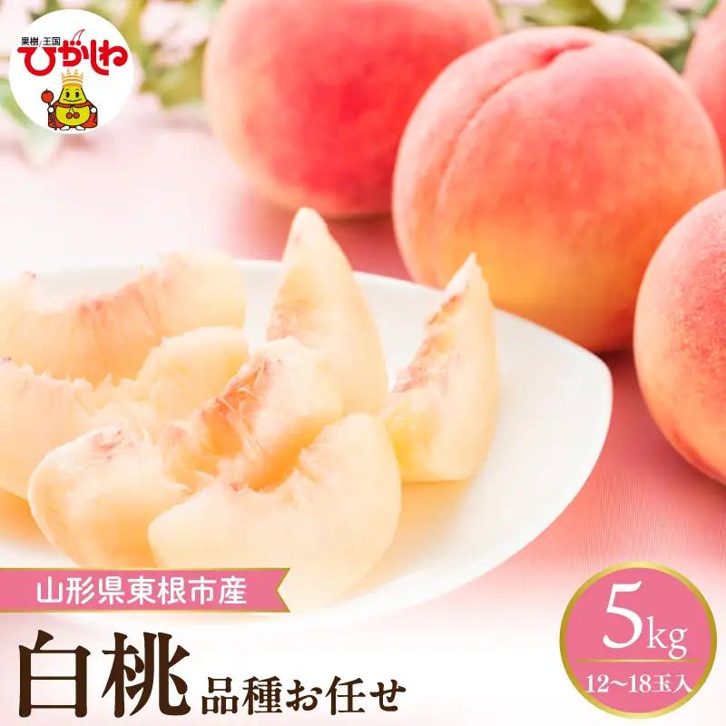 【2026年産】採れたて白桃(品種おまかせ)約5kg (12～18玉)