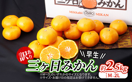 みかん 訳あり 早生 2.5kg 蜜柑 ミカン 果物 くだもの みかん