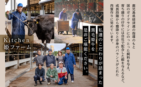 【定期便】ステーキ三昧（全3回）【Meat you Kitchen姫ファーム】