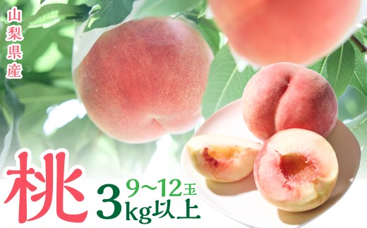 2026年発送　山梨県産　桃（9玉～12玉）　3キロ以上 SWCN001-3kg