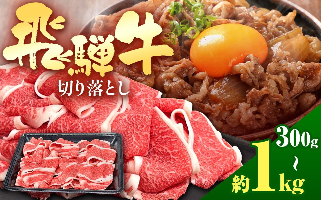 
            飛騨牛 切り落とし 【 選べる容量 】| 300g 500g 1kg 飛騨牛 黒毛和牛 牛 国産牛 牛肉 精肉 切り落とし 赤身 炒め物 牛丼 肉じゃが カレー 焼肉 おかず BBQ  贈答 家庭用 おすすめ ジューシー とろける 冷凍 岐阜県 北方町
          