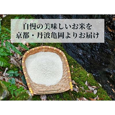 ふるさと納税 亀岡市 【毎月定期便】農家直送!佐伯の里 源流米 京都丹波産コシヒカリ5kg全6回 |  | 01