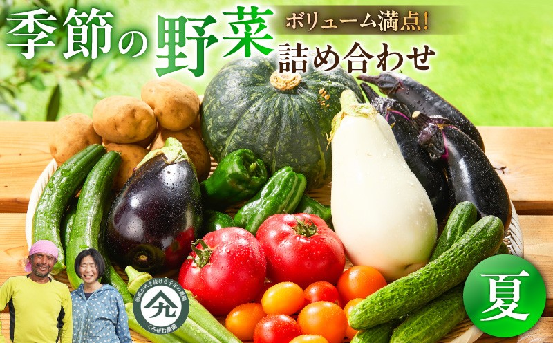 
                  ボリューム満点！季節の野菜詰め合わせ（夏）　M001-004-01
                