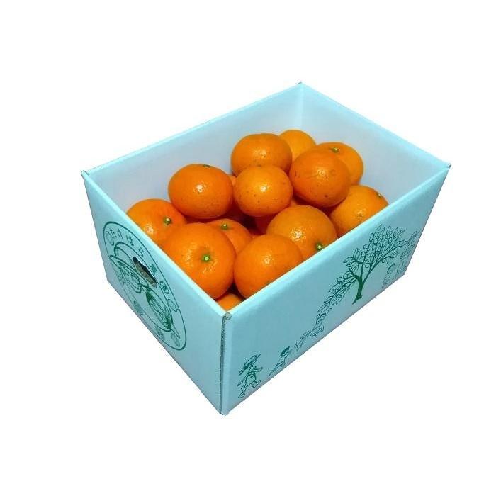【ふるさと納税】【2026年発送分 先行受付】たんかん ご家庭用バラ詰め3kg【たけはら農園】 | 鹿児島県 鹿児島 瀬戸内町 九州 奄美大島 奄美 楽天ふるさと 納税 特産品 名産品 お取り寄せ ご当地 グルメ フルーツ 果物 柑橘 たんかん タンカン