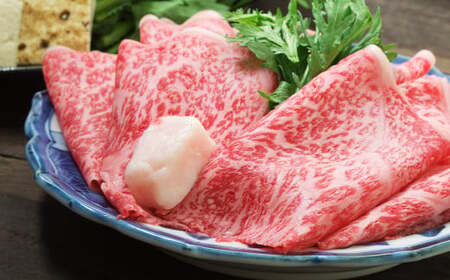 【厳選部位】博多和牛サーロインしゃぶしゃぶすき焼き用 約500g