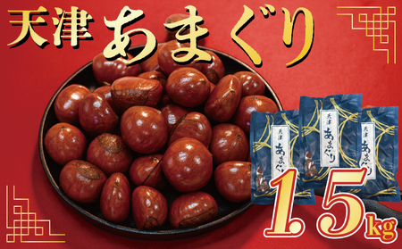 【 甘栗 】 京都八幡の天津甘栗 1.5kg 完熟 殻付き おやつ おつまみ