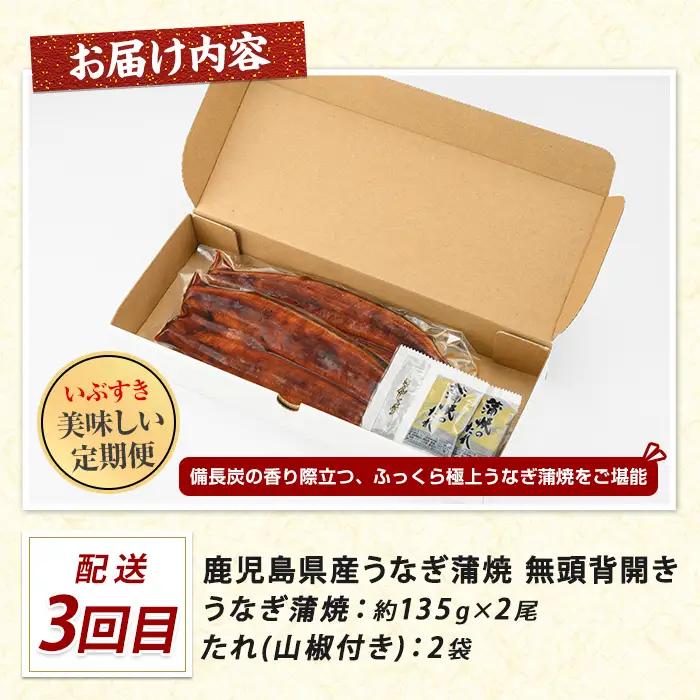 【全３回定期便】鰻・カツオ・さつま揚げ いぶすきグルメ定期便 IBZ999-021