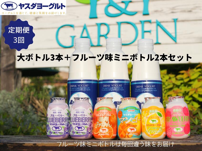【ふるさと納税】【3ヶ月定期便】ヤスダヨーグルト ちょい足しフルーツセレクションセットお試し便 大ボトル800g×3本＋小ボトル150g2本 無添加 搾りたて こだわり生乳 濃厚 飲むヨーグルト のむよーぐると