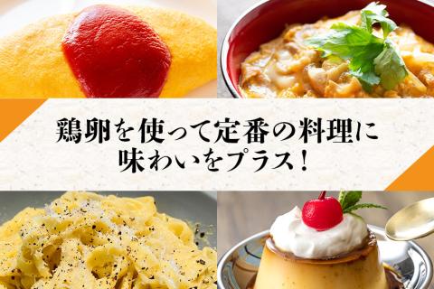 鶏卵60個入り化粧箱 【6ヶ月定期便】 16-D