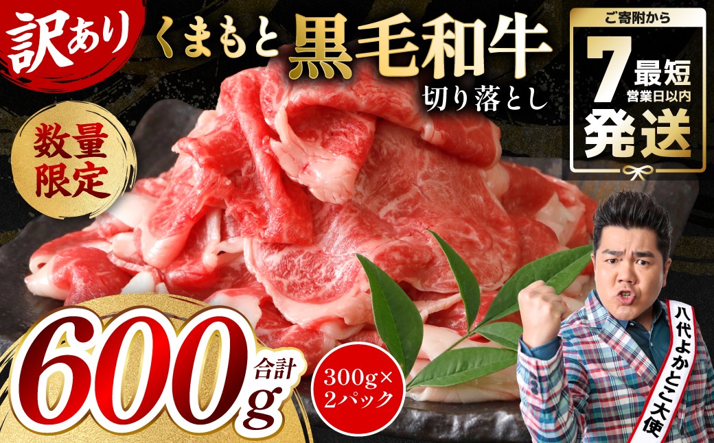 
                  【訳あり】 くまもと黒毛和牛 切り落とし 600g（300g×2）（ 黒毛和牛 牛肉 和牛 ブランド牛 ブランド和牛 訳あり牛肉 ブランド牛肉 牛肉切り落とし ブランド牛切り落とし 小分け 熊本県産 くまもと 国産 人気 毎月数量限定 ）
                