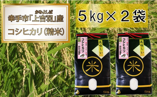 
【令和6年産米】ハッピー(幸手市)でラッキー(上吉羽)なお米 コシヒカリ精米10kg
