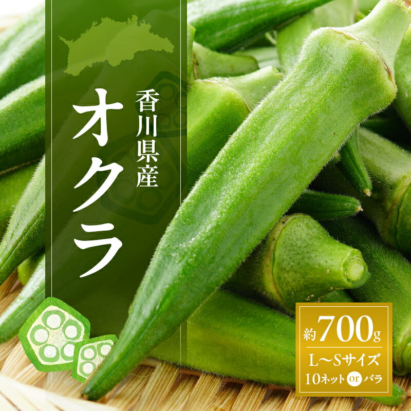 【ふるさと納税】オクラ 約700g (L～Sサイズ) 10ネットまたはバラ詰め 野菜　お届け：2026年7月22日～10月10日