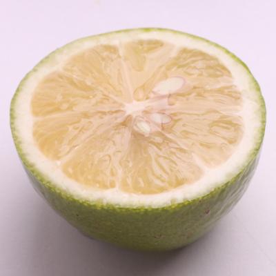 ふるさと納税 日高町 家庭用 レモン2.5kg+250g(傷み補償分)【和歌山有田産】【防腐剤・WAX不使用】【訳あり】 |  | 01