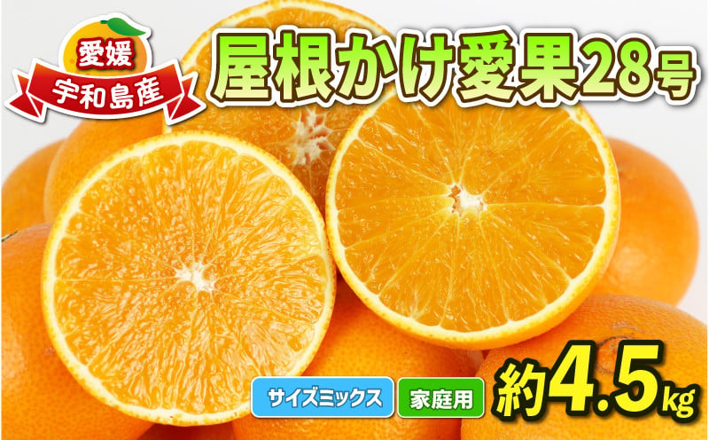 
                  愛媛 みかん 愛果28号 4.5kg 家庭用 屋根かけ サイズ ミックス 陽だまりミカン 高級柑橘 高級 ブランド オリジナル 限定 品種 甘い ゼリー プルプル 果物 くだもの フルーツ 柑橘 蜜柑 みかん mikan あいか 農家直送 産地直送 数量限定 国産 愛媛 宇和島 B018-050004
                