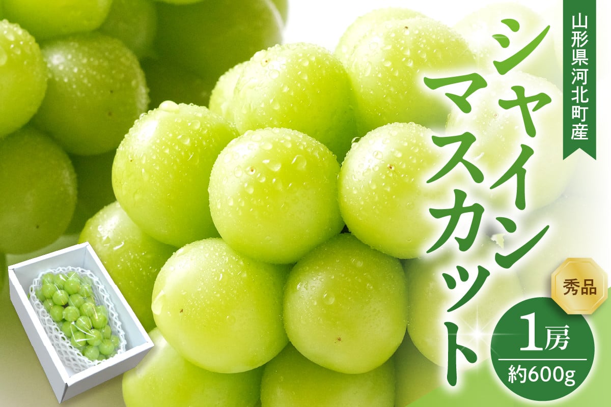 
            【令和7年産】 ぶどう シャインマスカット 1房入り（約600g前後） 秀品 山形県河北町産 【山形eLab】ka074-022
          