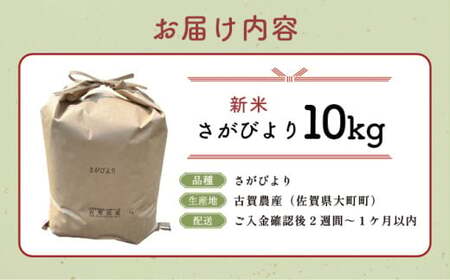  令和7年産 さがびより 10kg ／米 お米 返礼品 飯 ごはん 弁当 銘柄米 白米 県産米 佐賀県産 国産米 精米 ブランド米 おにぎり 国産 食品 人気 おすすめ ふるさと納税米  精白米 主食