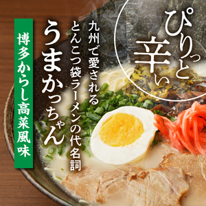 豚骨ラーメン うまかっちゃん 博多からし高菜風味 30食セット（5袋パック×6セット） _PC8706