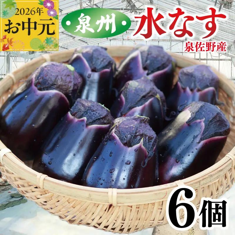 【お中元対応】泉州 泉佐野市産 ハウス水なす 6個
