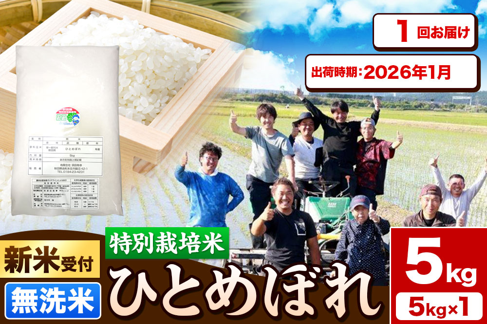 《新米受付》令和7年産【無洗米】特別栽培米 ひとめぼれ 5kg 秋田県産【2026年1月出荷】