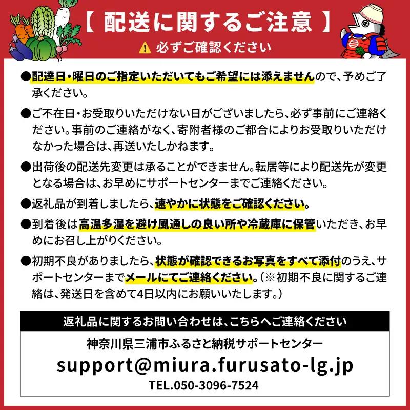 有機肥料 で 育てた キャベツ と 大根 セット M002-003 野菜 三浦野菜