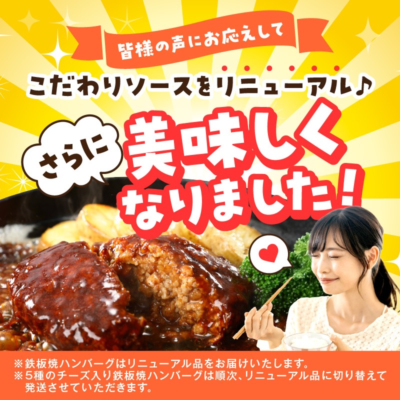 【F5-004】デミソースのハンバーグ2種セット（プレーン8個＆チーズ8個）計16個【3ヶ月毎定期便(計4回発送)】