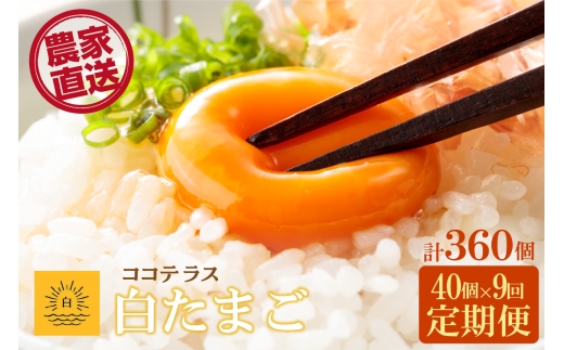 【9ヵ月定期便】ココテラスの朝日（白たまご）35個 + 5個保証（計40個）【JGAP認証】